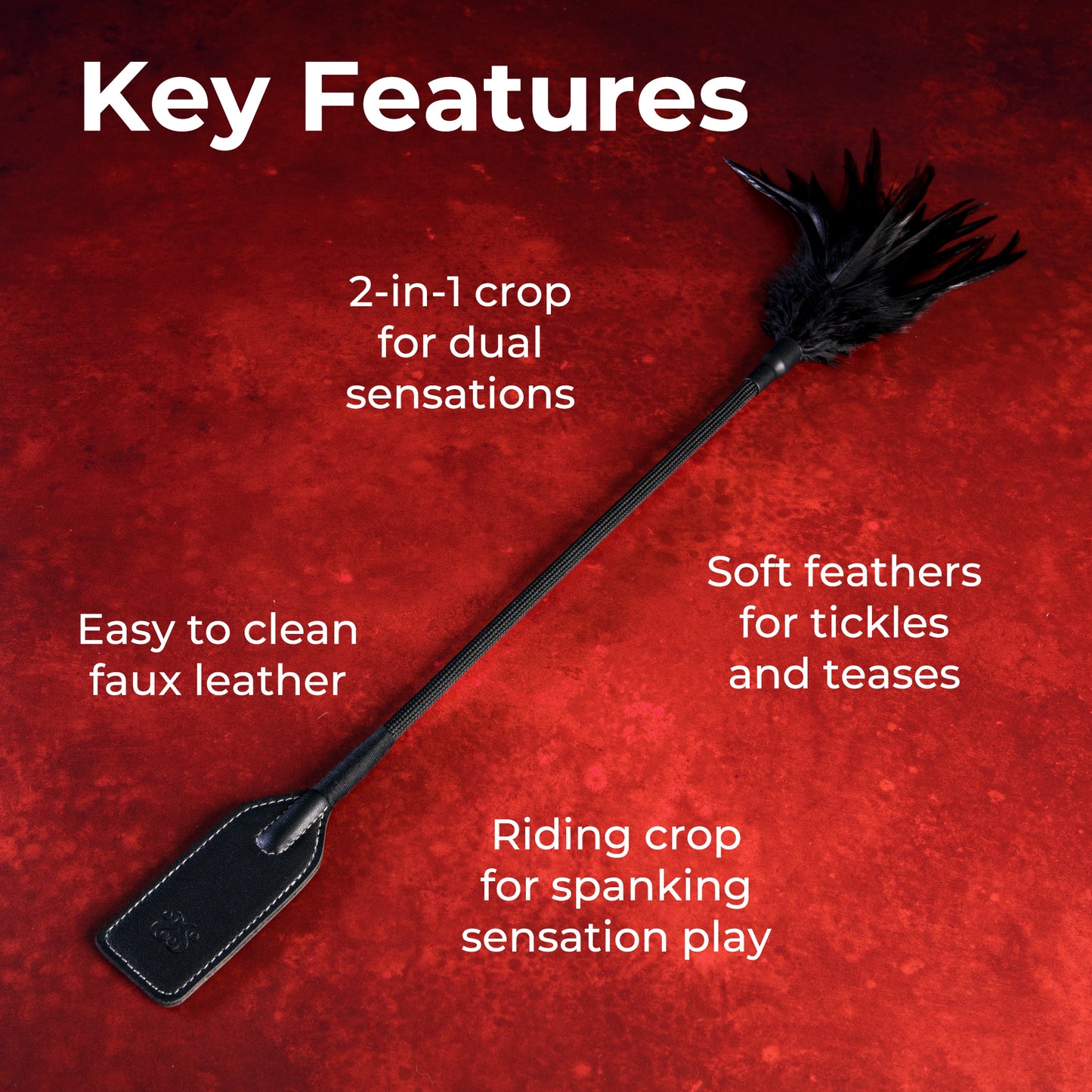 Slap & Tickle - Dual Ended Riding Crop & Tickler